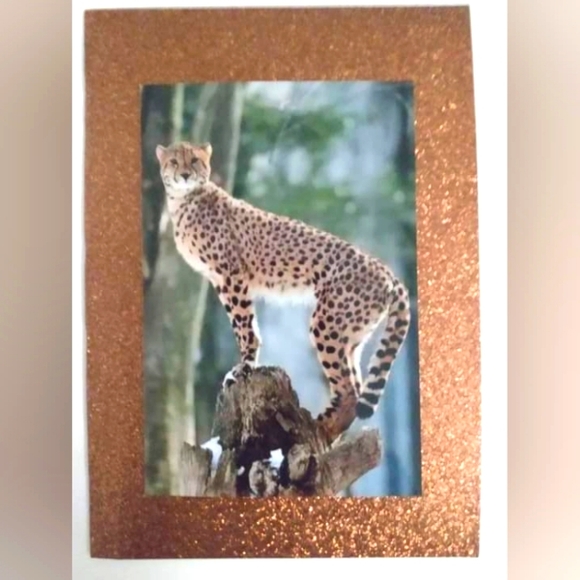 Design | Cheetah 2 Diff Pics Choose One Photo Portraits | Poshmark
